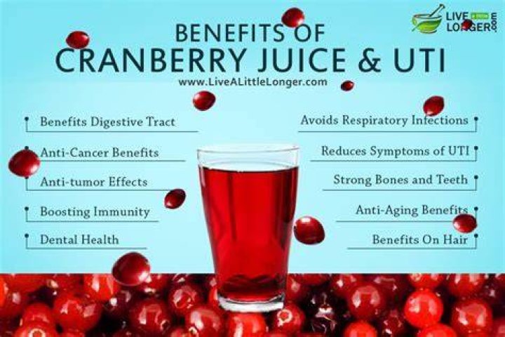 Are Cranberry supplements good for UTI?