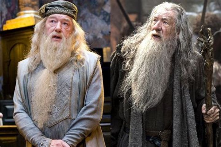 Are Dumbledore and Gandalf played by the same actor?