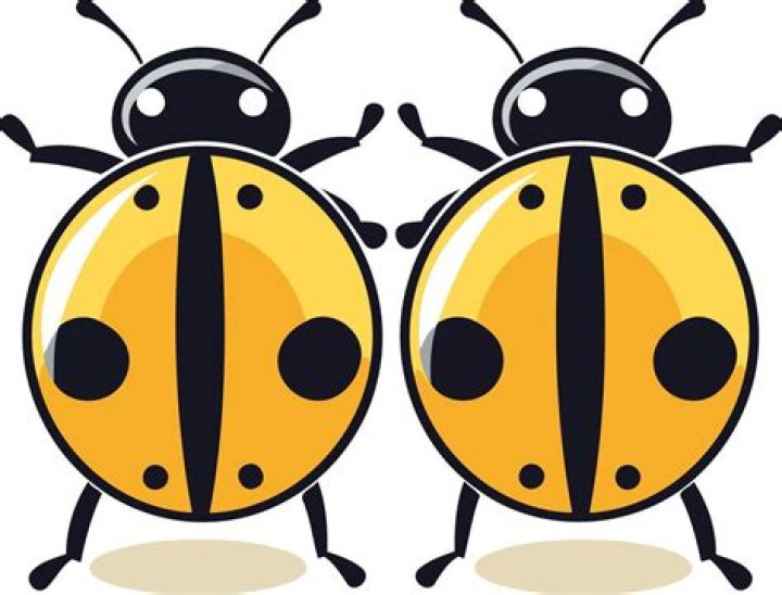 Are yellow ladybugs friendly?