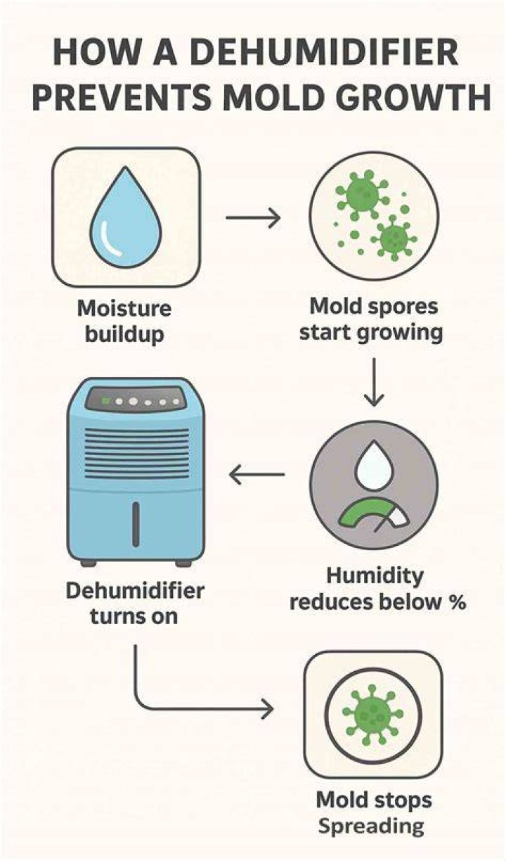 Can a dehumidifier get clogged?