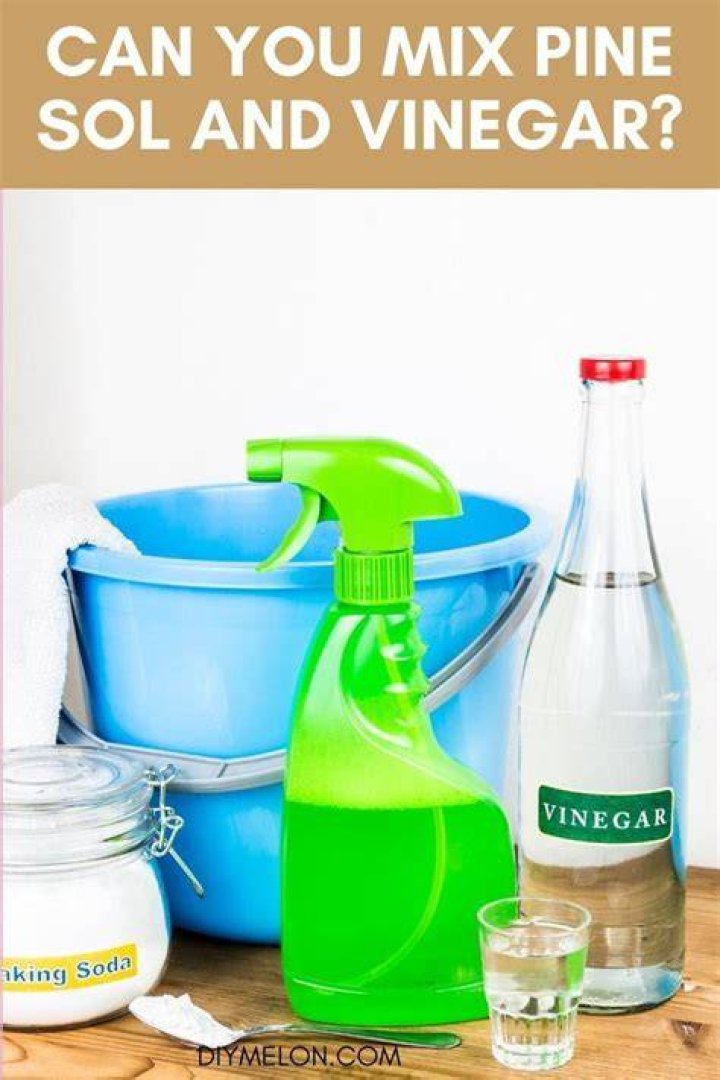 Can you mix vinegar and Pine-Sol?