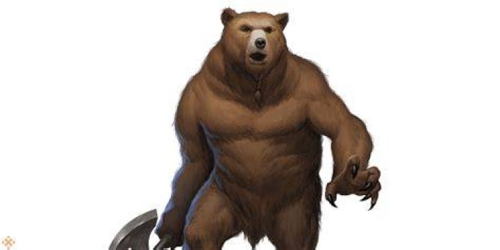 Can you play as a werebear in DND?