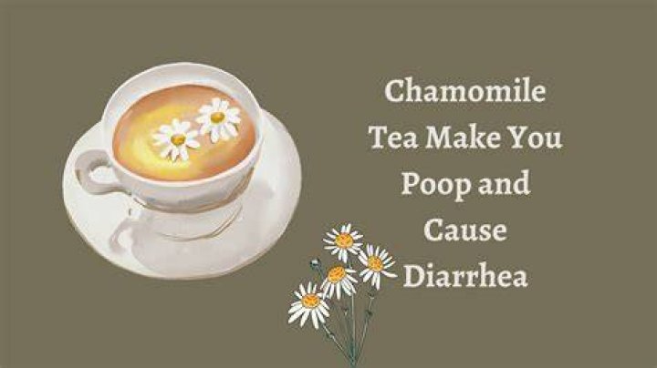 Does chamomile tea make you poop?