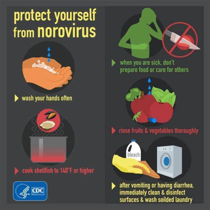How do I avoid getting the norovirus on a cruise?