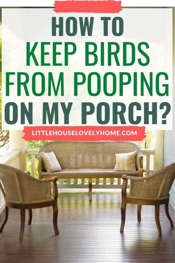 How do I keep birds from pooping on my porch?