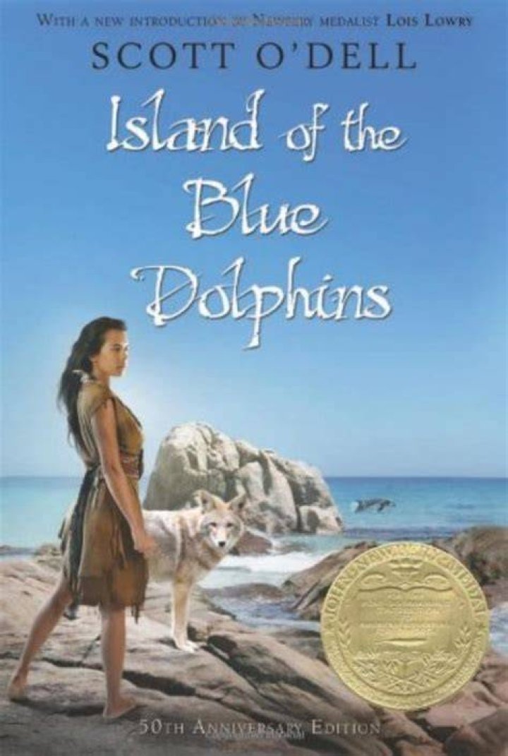 What happened in chapter 26 of Island of the Blue Dolphins?