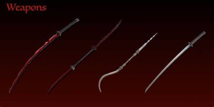 What is bleed Elden Ring?