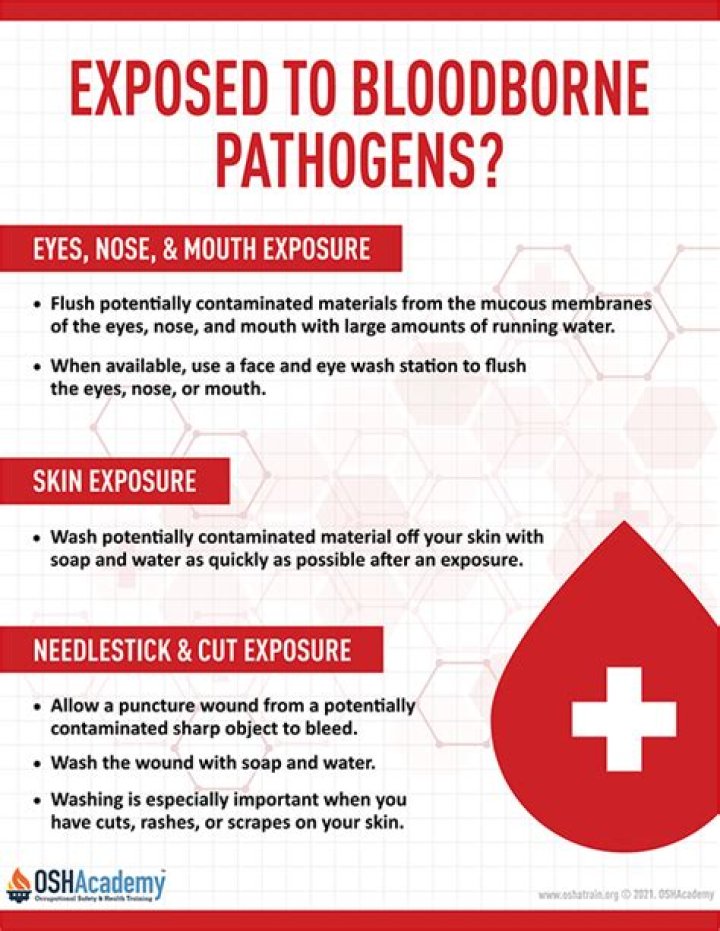What protects healthcare workers from exposure to bloodborne pathogens?