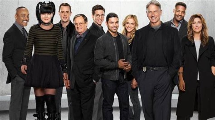 What should I study if I like Criminal Minds?