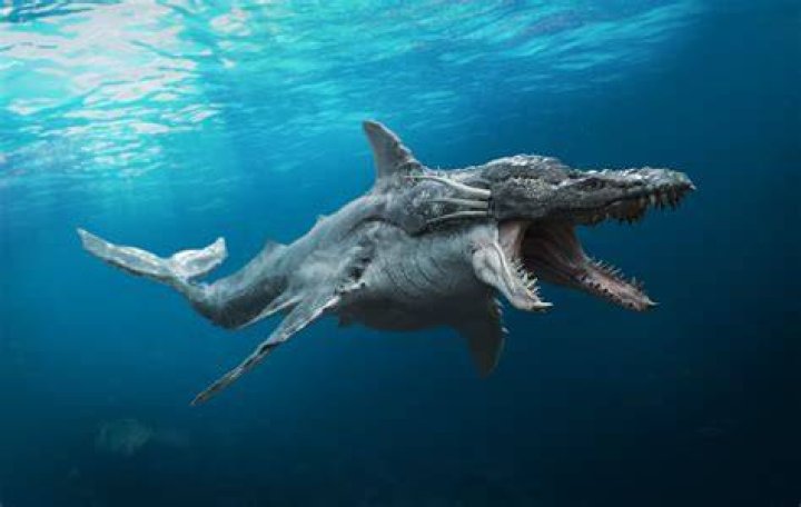 Where do sea monsters come from?
