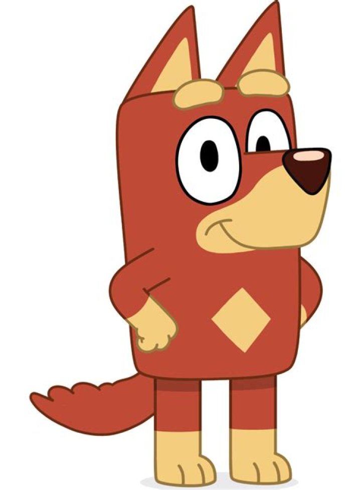 Who is rusty on Bluey?