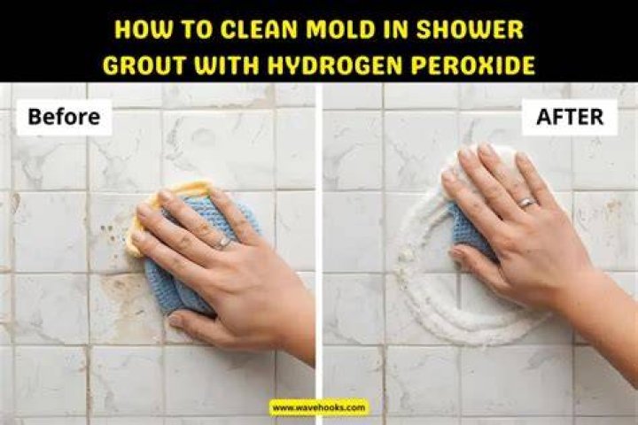 Will hydrogen peroxide clean bricks?